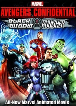 机密复仇者封面图