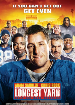 最长的一码封面图