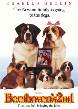 一家六口封面图