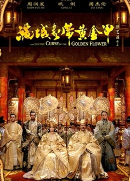 满城尽带黄金甲封面图