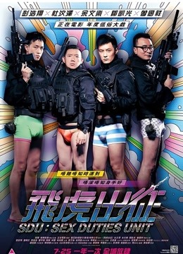 飞虎出征封面图