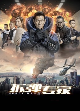 拆弹专家封面图