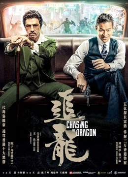 追龙封面图