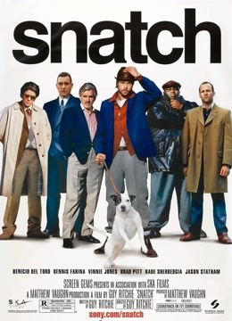 偷拐抢骗封面图