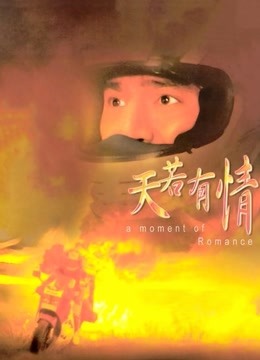 天若有情封面图