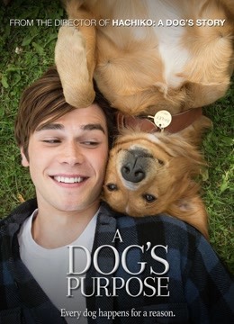 一条狗的使命国语版封面图