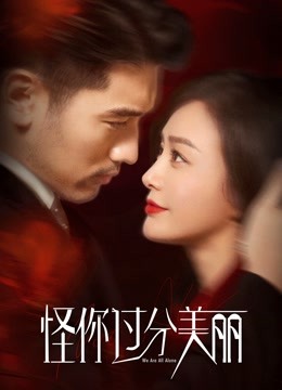 怪你过分美丽封面图