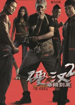 硬汉2封面图