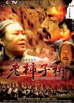 老柿子树封面图