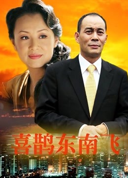 喜鹊东南飞封面图