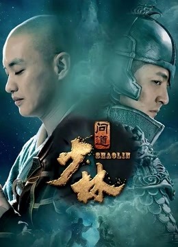 少林问道封面图