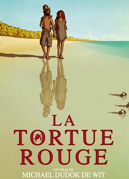 红海龟封面图