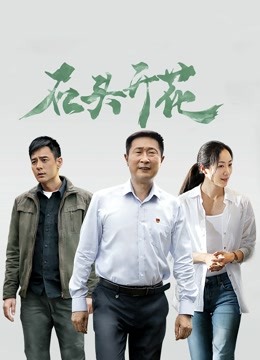 石头开花封面图