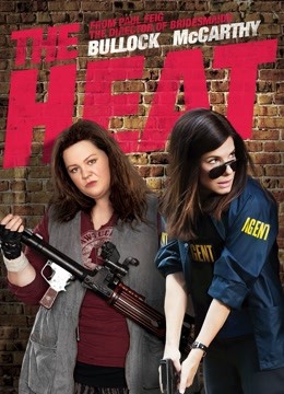 辣手警花封面图