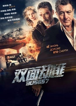 双面劫匪封面图