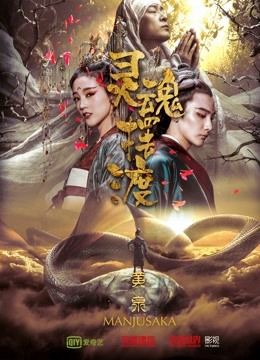 灵魂摆渡黄泉封面图