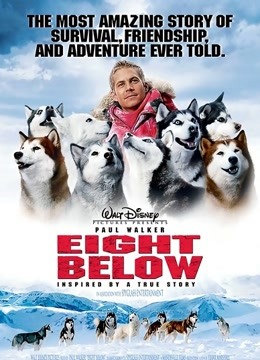 南极大冒险封面图