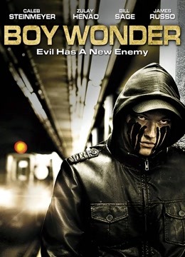 复仇少年封面图