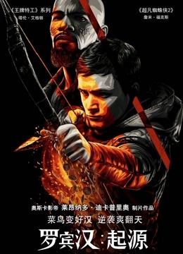 罗宾汉：起源国语版封面图