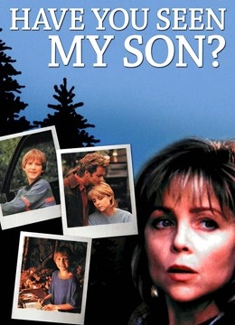 母子情深国语版封面图