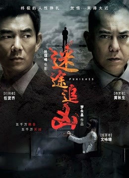 迷途追凶封面图