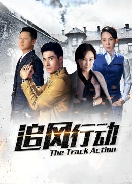 追风行动封面图