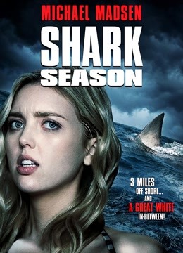 鲨鱼季封面图