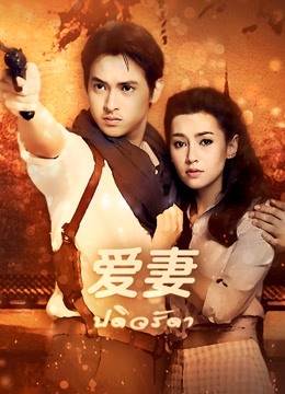 爱妻普通话版封面图