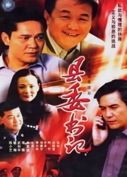 县委书记封面图