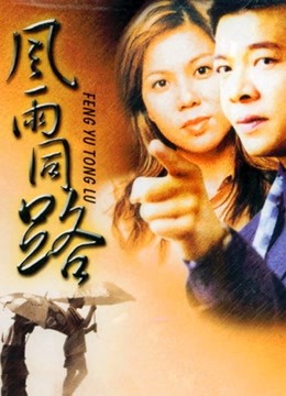 风雨同路（1994）封面图