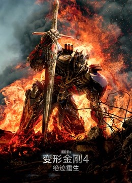 变形金刚4：绝迹重生封面图