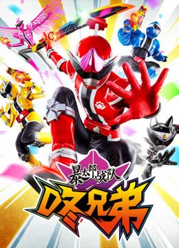 暴太郎战队咚兄弟国语版封面图