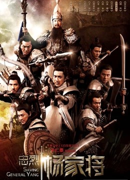 忠烈杨家将封面图