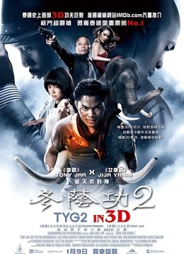 冬荫功2：拳霸天下封面图