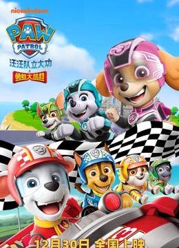 汪汪队立大功之勇敢大营救国语版封面图