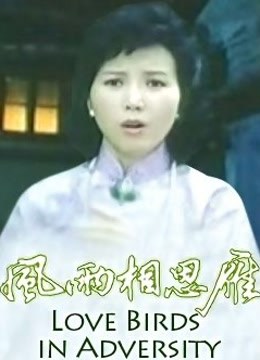 风雨相思雁封面图