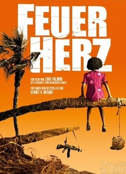 心火（2008）封面图