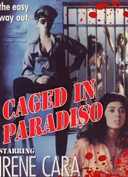 监狱风暴封面图