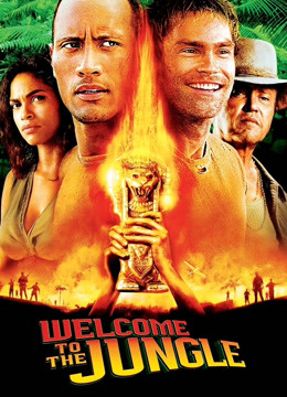 丛林奇兵（2003）封面图