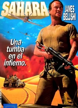 撒哈拉（1995）封面图