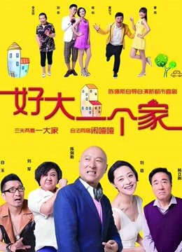 好大一个家封面图