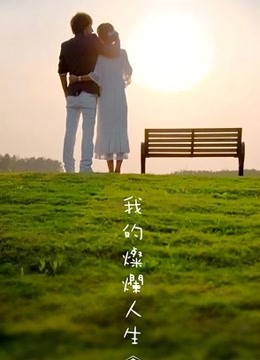 我的灿烂人生封面图
