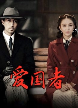 爱国者DVD版封面图