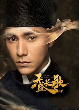 天盛长歌DVD版封面图