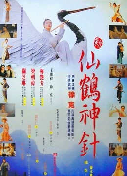 新仙鹤神针封面图