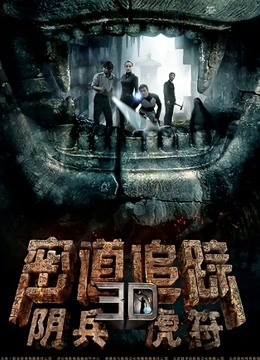 密道追踪之阴兵虎符封面图