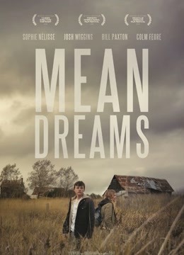 残酷的梦封面图