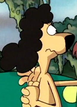 动物也疯狂封面图