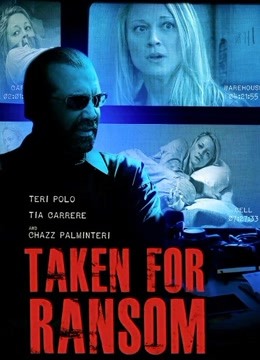 最后的救援封面图