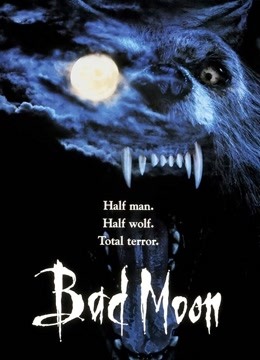 鬼哭神嚎（1996）封面图